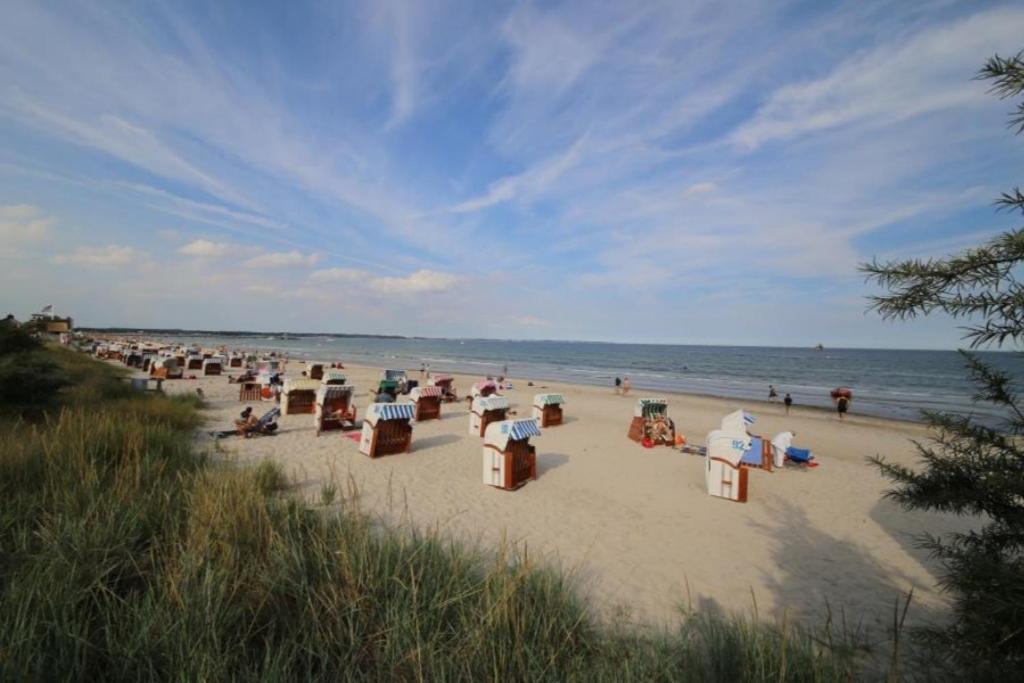 Ferienwohnung Strandvilla Augustusbad 17 샬베우츠 외부 사진